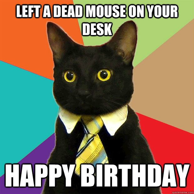 Left a dead mouse on your desk happy birthday - Left a dead mouse on your desk happy birthday  Business Cat