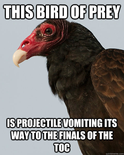 This Bird of prey is projectile vomiting its way to the finals of the TOC   Bieta Vulture