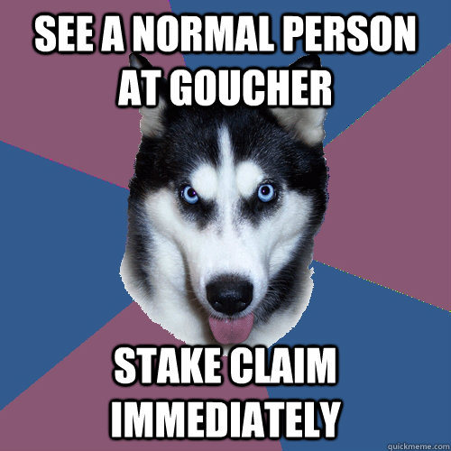 See a normal person at goucher stake claim immediately - See a normal person at goucher stake claim immediately  Creeper Canine