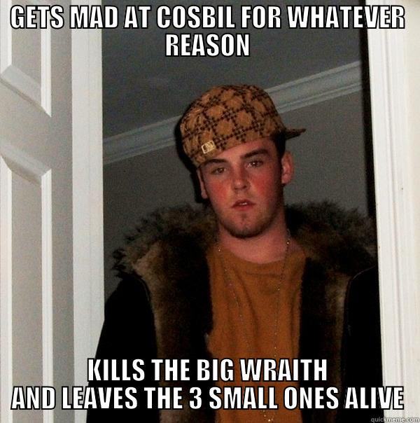 GETS MAD AT COSBIL FOR WHATEVER REASON KILLS THE BIG WRAITH AND LEAVES THE 3 SMALL ONES ALIVE Scumbag Steve