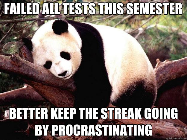FAILED ALL TESTS THIS SEMESTER BETTER KEEP THE STREAK GOING BY PROCRASTINATING  Procrastination Panda