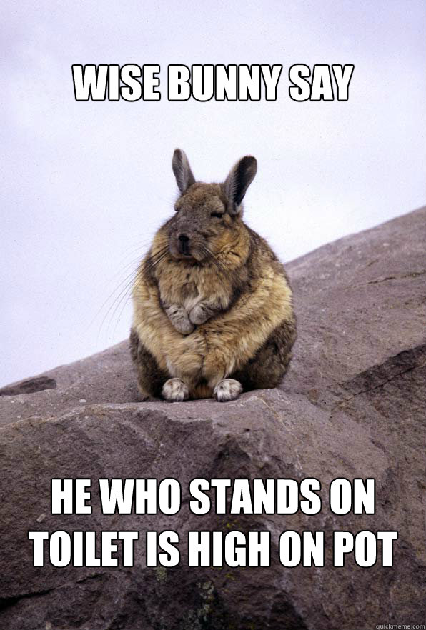 Wise Bunny Say He who stands on toilet is high on pot - Wise Bunny Say He who stands on toilet is high on pot  Wise Bunny