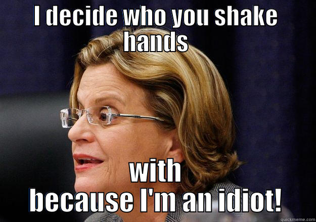 Queen of Idiots! - I DECIDE WHO YOU SHAKE HANDS WITH BECAUSE I'M AN IDIOT! Misc