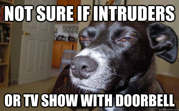 NOT SURE IF INTRUDERS OR TV SHOW WITH DOORBELL  Skeptical Mutt