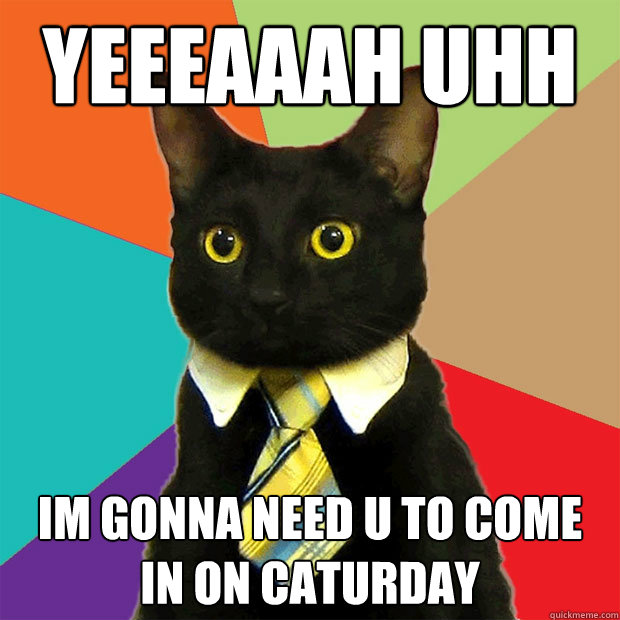 Yeeeaaah uhh im gonna need u to come in on caturday  Business Cat