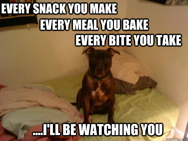 Every snack you make every meal you bake every bite you take ....I'll be watching you - Every snack you make every meal you bake every bite you take ....I'll be watching you  Mars  Sting