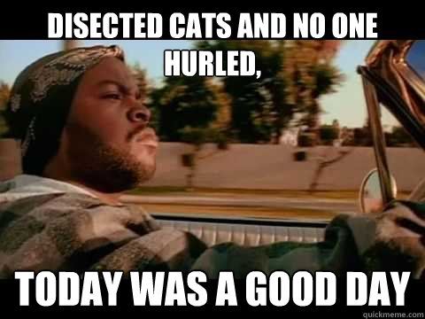 Disected cats and no one hurled, Today was a good day  ice cube good day