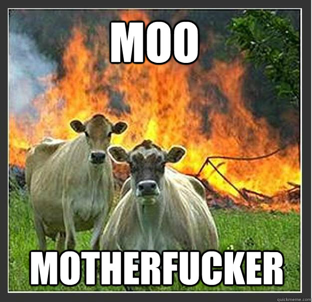 Moo Motherfucker  Evil cows