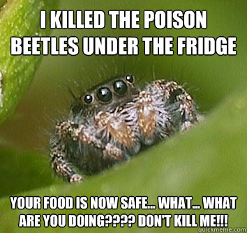 I killed the poison beetles under the fridge Your food is now safe... what... what are you doing???? DON'T KILL ME!!!  Misunderstood Spider