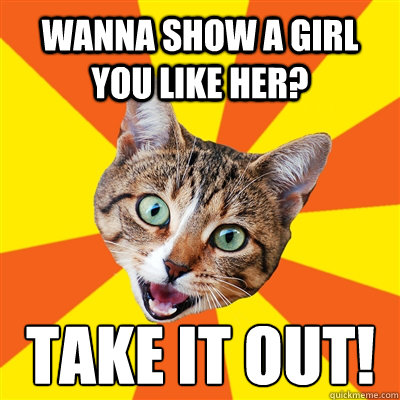 Wanna show a girl you like her? Take it out!  Bad Advice Cat