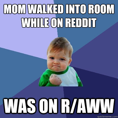 MOM WALKED INTO ROOM WHILE ON REDDIT WAS ON R/AWW - MOM WALKED INTO ROOM WHILE ON REDDIT WAS ON R/AWW  Success Kid