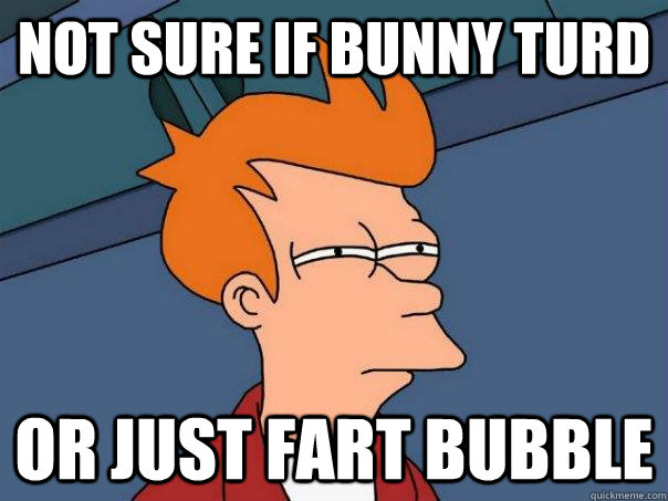 not sure if bunny turd or just fart bubble  Futurama Fry