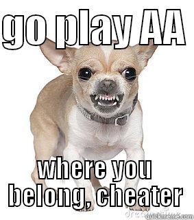 GO PLAY AA  WHERE YOU BELONG, CHEATER Misc