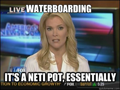 Waterboarding It's a Neti Pot, essentially  Megyn Kelly