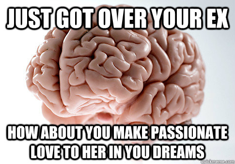 Just got over your ex how about you make passionate love to her in you dreams  Scumbag Brain