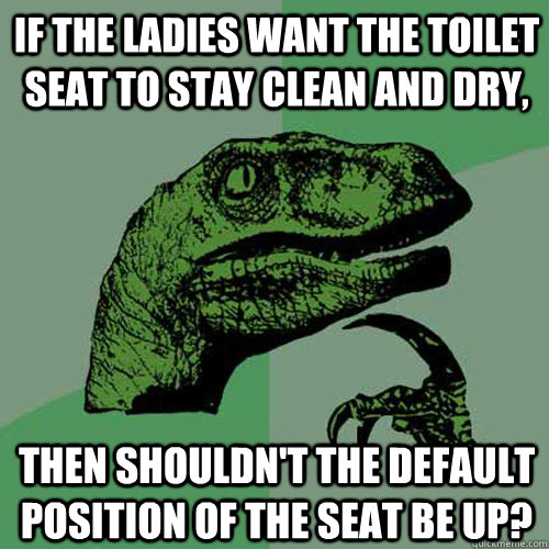 If the ladies want the toilet seat to stay clean and dry, then shouldn't the default position of the seat be up?  Philosoraptor