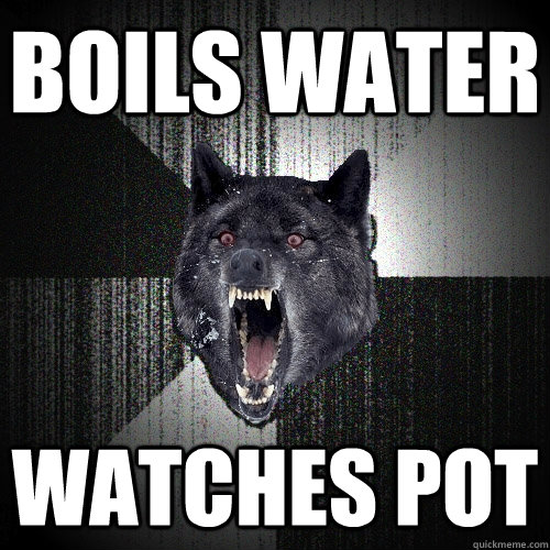 boils water watches pot - boils water watches pot  Insanity Wolf