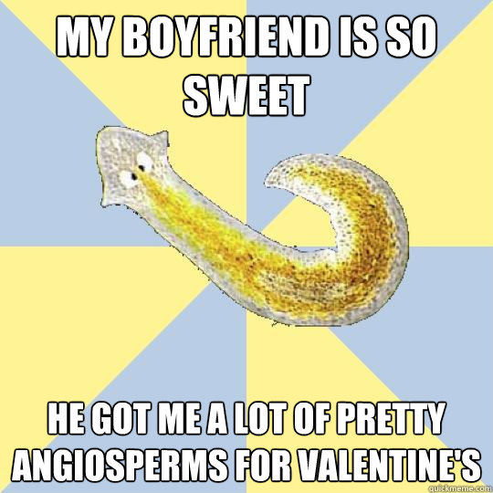 My boyfriend is so sweet He got me a lot of pretty angiosperms for Valentine's  Bio Major Planarian