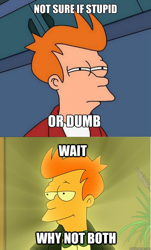 not sure if stupid or dumb wait why not both  Enlightened Fry