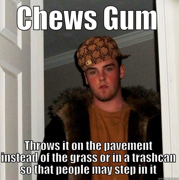 Gum Chewer - CHEWS GUM THROWS IT ON THE PAVEMENT INSTEAD OF THE GRASS OR IN A TRASHCAN SO THAT PEOPLE MAY STEP IN IT Scumbag Steve