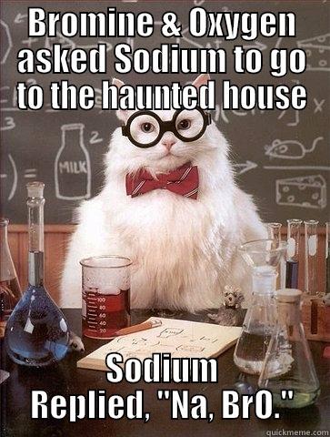 BROMINE & OXYGEN ASKED SODIUM TO GO TO THE HAUNTED HOUSE SODIUM REPLIED, 