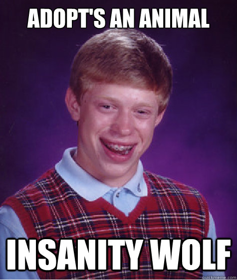 adopt's an animal insanity wolf - adopt's an animal insanity wolf  Bad Luck Brian