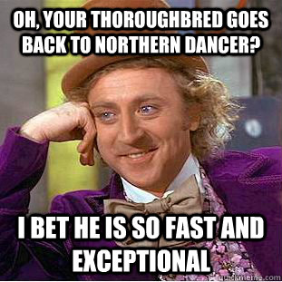 Oh, your thoroughbred goes back to Northern Dancer? I bet he is so fast and exceptional - Oh, your thoroughbred goes back to Northern Dancer? I bet he is so fast and exceptional  Condescending Wonka