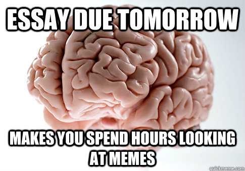 essay due tomorrow makes you spend hours looking at memes  Scumbag Brain