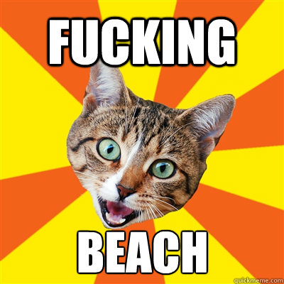 fucking Beach  Bad Advice Cat