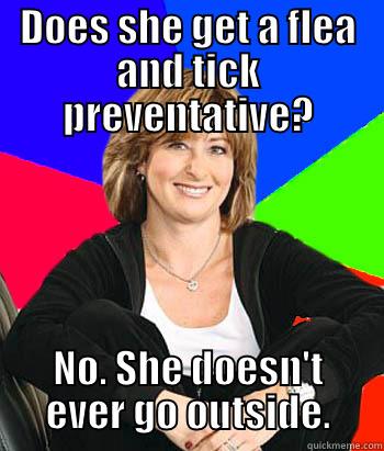 Shelter the dog too - DOES SHE GET A FLEA AND TICK PREVENTATIVE? NO. SHE DOESN'T EVER GO OUTSIDE. Sheltering Suburban Mom