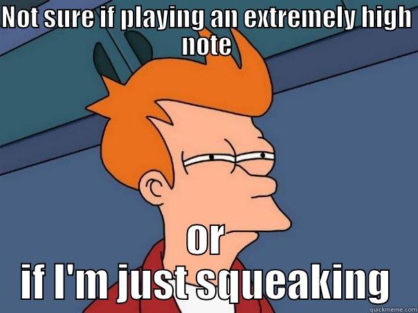 NOT SURE IF PLAYING AN EXTREMELEY HIGH NOTE OR IF I'M JUST SQUEAKING Futurama Fry