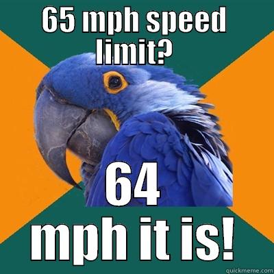 1 mile under the speed limit - 65 MPH SPEED LIMIT? 64 MPH IT IS! Paranoid Parrot