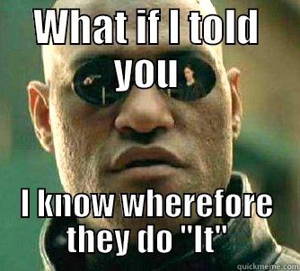 WHAT IF I TOLD YOU I KNOW WHEREFORE THEY DO 