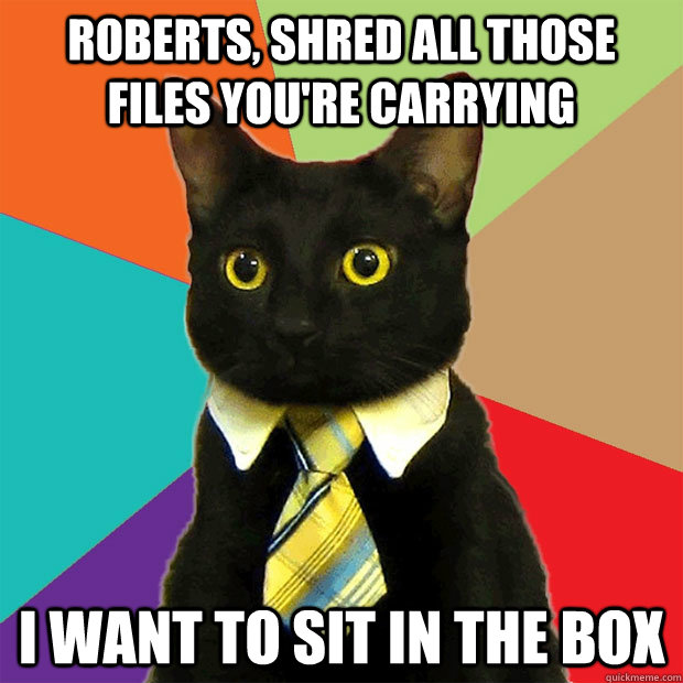 roberts, shred all those files you're carrying I want to sit in the box  Business Cat