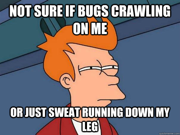 Not sure if bugs crawling on me or just sweat running down my leg  Futurama Fry