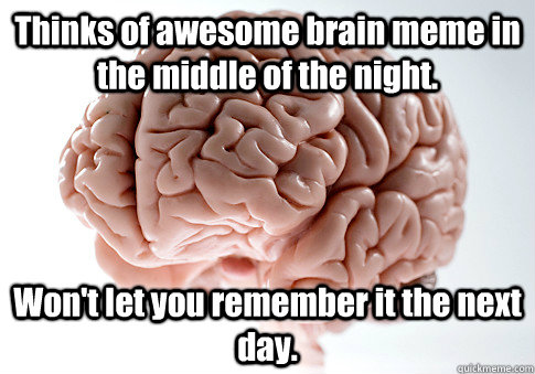 Thinks of awesome brain meme in the middle of the night. Won't let you remember it the next day.   Scumbag Brain