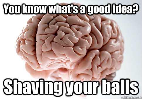 You know what's a good idea? Shaving your balls   Scumbag Brain