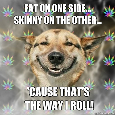 Fat on one side...
skinny on the other... 'cause that's
 the way I roll!  Stoner Dog