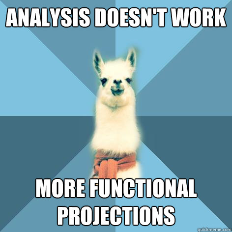 Analysis doesn't work more functional projections  Linguist Llama