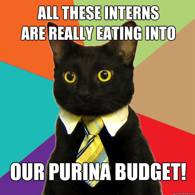 All these interns
are really eating into our Purina budget!  Business Cat