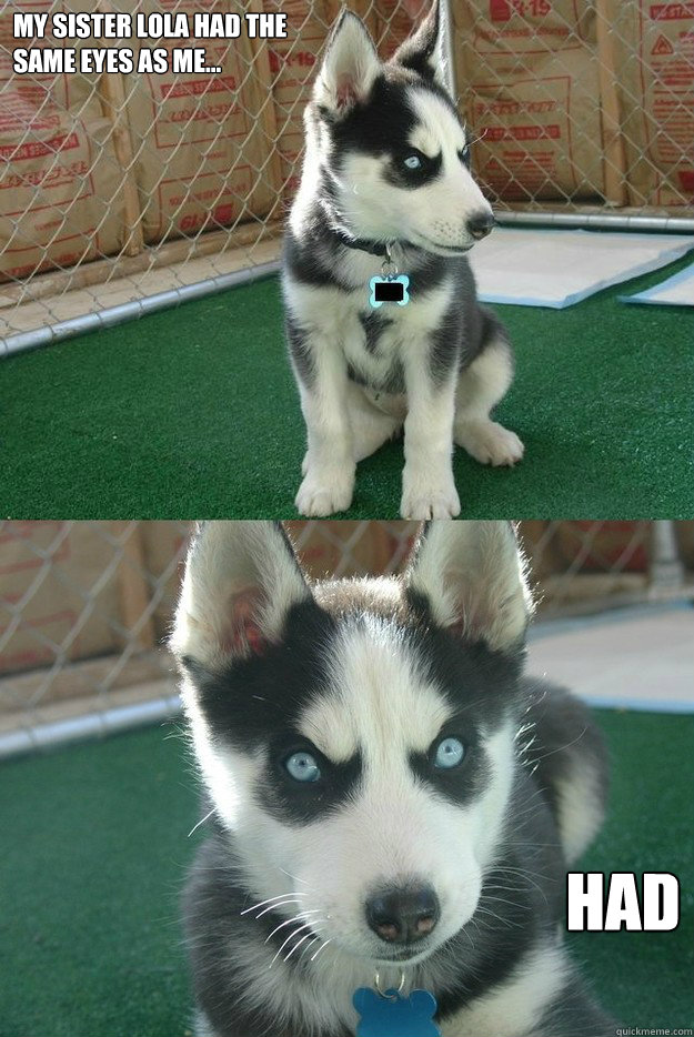 my sister lola had the 
same eyes as me... had  Insanity puppy