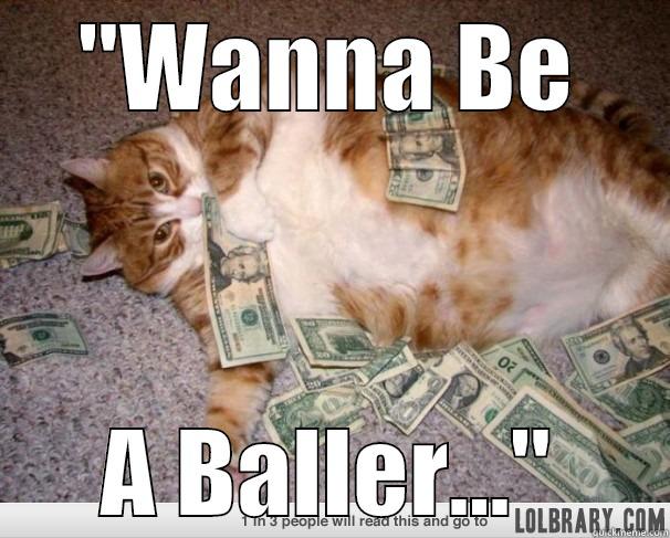 Baller Cat Meme - 