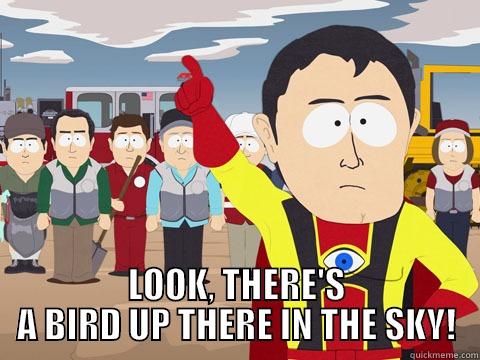  LOOK, THERE'S A BIRD UP THERE IN THE SKY! Captain Hindsight