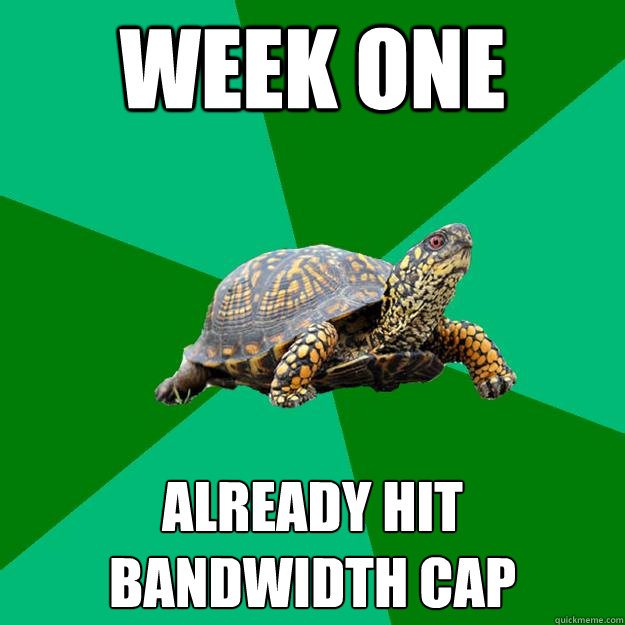 Week one Already hit bandwidth cap - Week one Already hit bandwidth cap  Torrenting Turtle