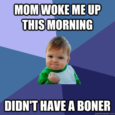 Mom woke me up this morning didn't have a boner - Mom woke me up this morning didn't have a boner  Success Kid