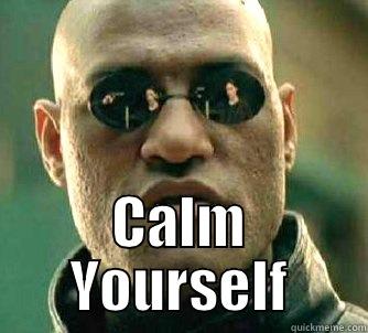  CALM YOURSELF Matrix Morpheus