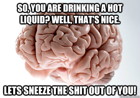 so, you are drinking a hot liquid? well, that's nice. lets sneeze the shit out of you!  Scumbag Brain