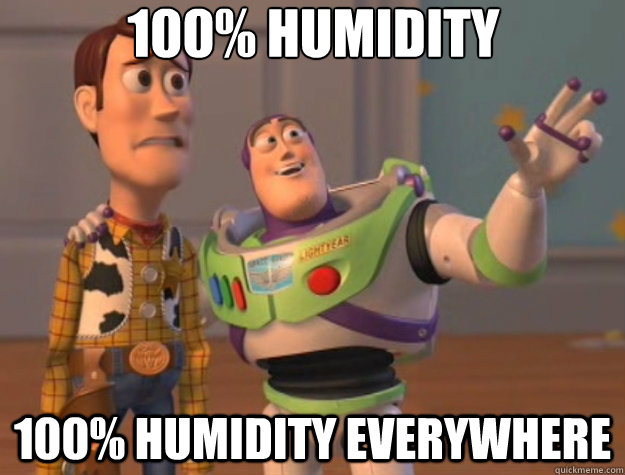 100% humidity 100% humidity everywhere - 100% humidity 100% humidity everywhere  Toy Story