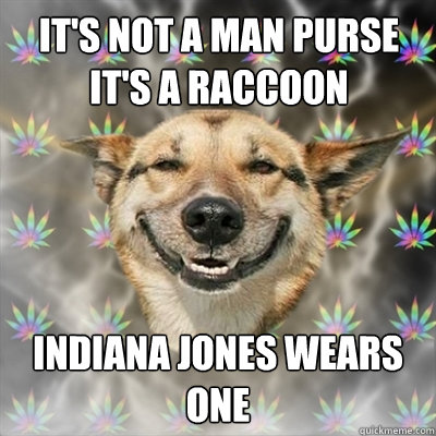 it's not a man purse it's a raccoon indiana jones wears one  Stoner Dog