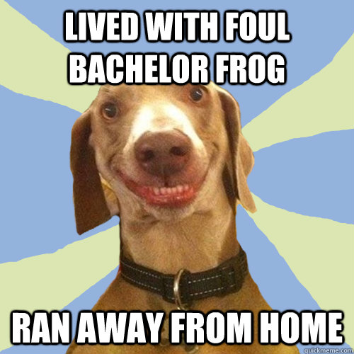 lived with foul bachelor frog ran away from home  Disgusting Doggy